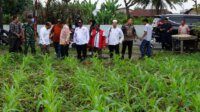 IMG-20250131-WA0022(1)